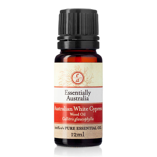 Australian White Cypress (wood oil) 12ml