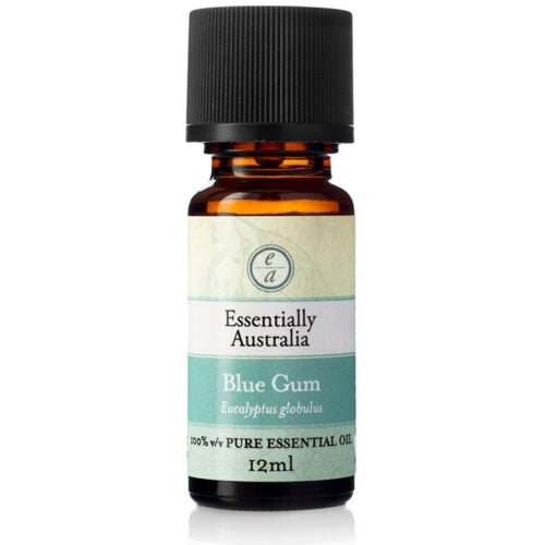 Eucalyptus Blue Gum 12ml