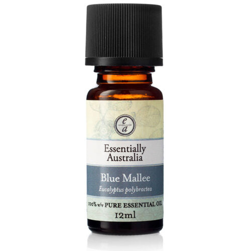 Eucalyptus Blue Mallee 12ml