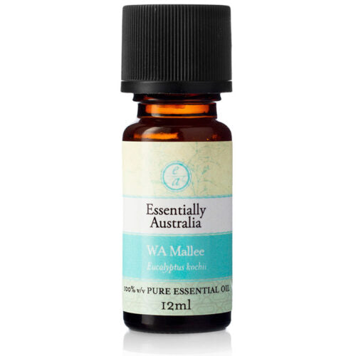 Eucalyptus horistes (WA Mallee) 12ml