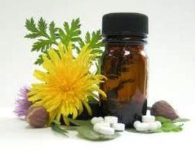 Bot Fly Relief 50ml  (homeopathic)
