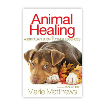 Animal Healing with Australian Bush Flower Essences