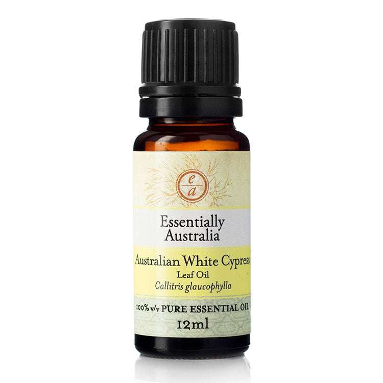 Australian White Cypress (leaf oil) 12ml